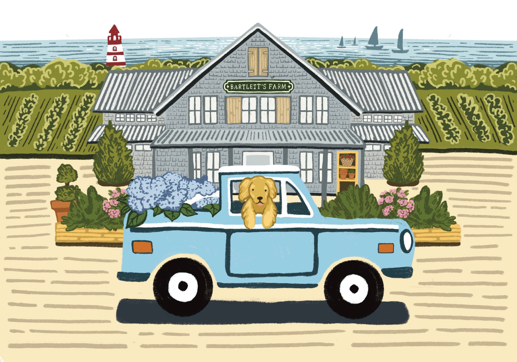 NANTUCKET SCENE