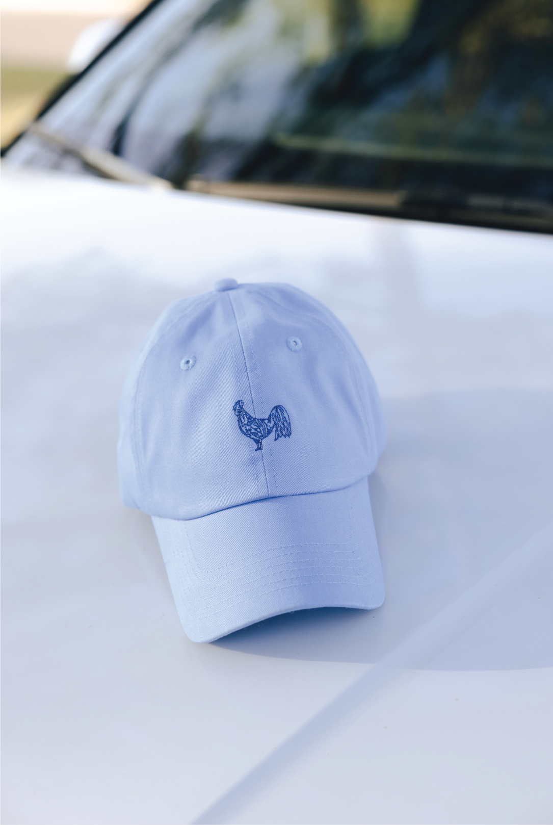 Dolly Hat