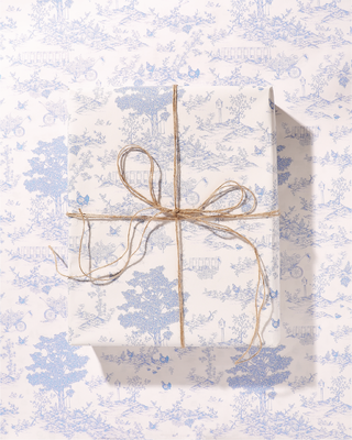 Dolly's Toile Wrapping Paper Blue