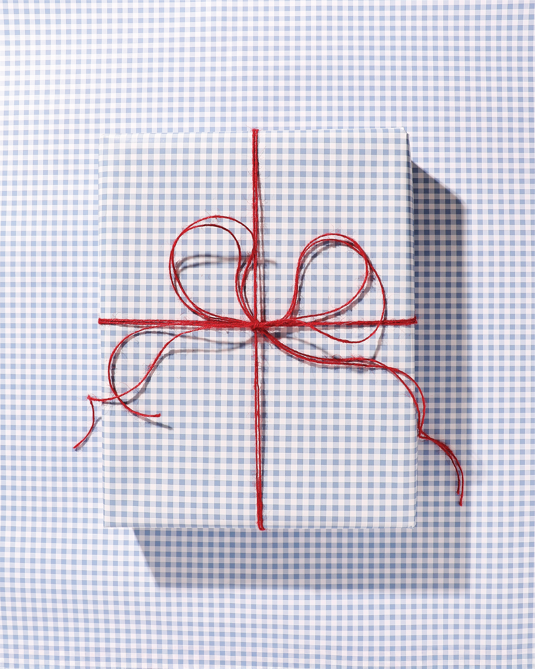 Garden Gingham Wrapping Paper Blue